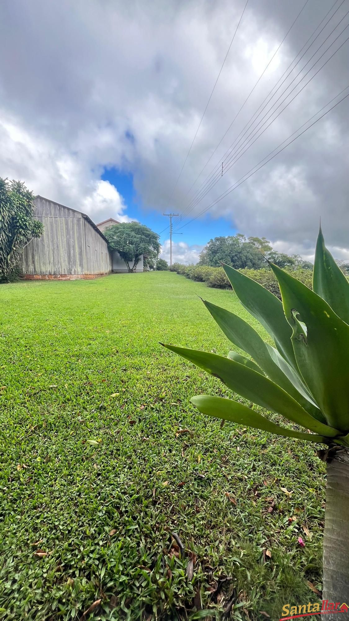 Chácara, 4 quartos, 10000 m² - Foto 13