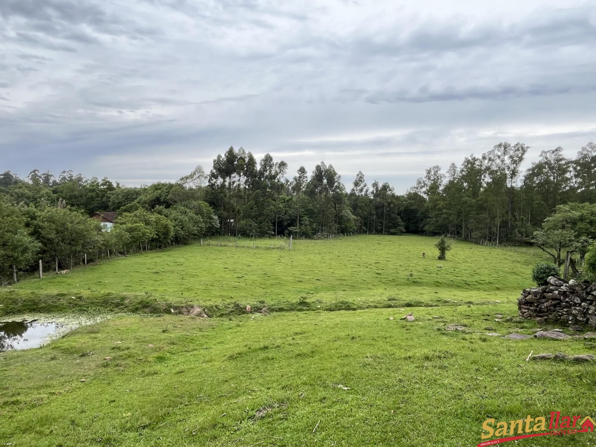 Fazenda à venda com 3 quartos, 130m² - Foto 16