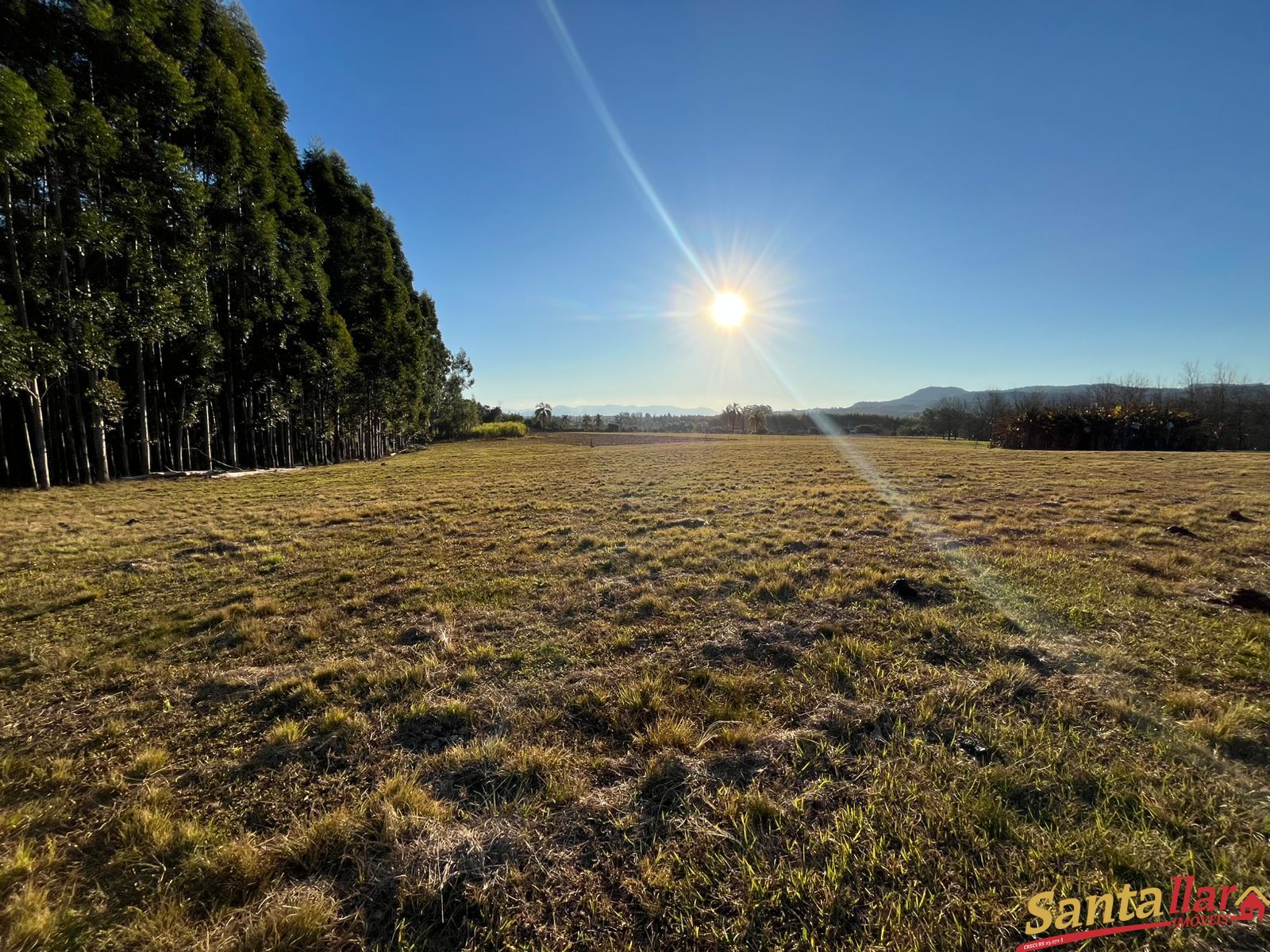 Sítio, 7 hectares - Foto 14