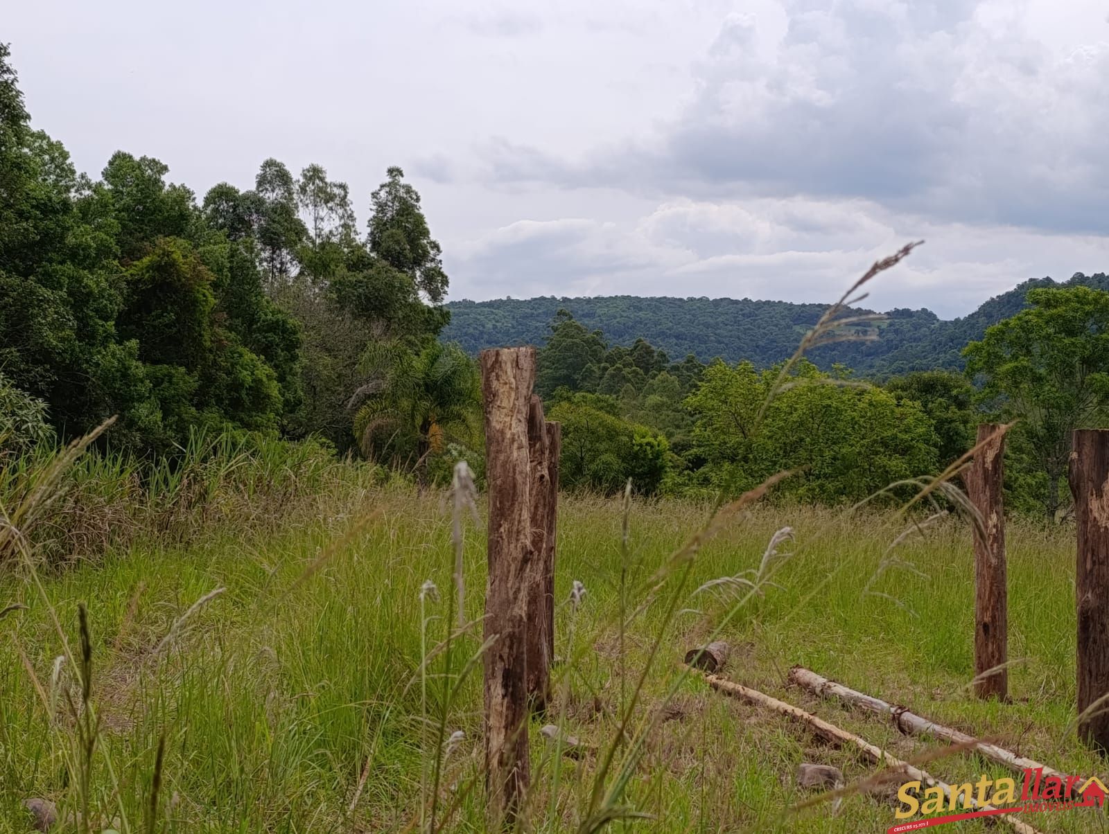 Sítio, 3 quartos, 3 hectares - Foto 14