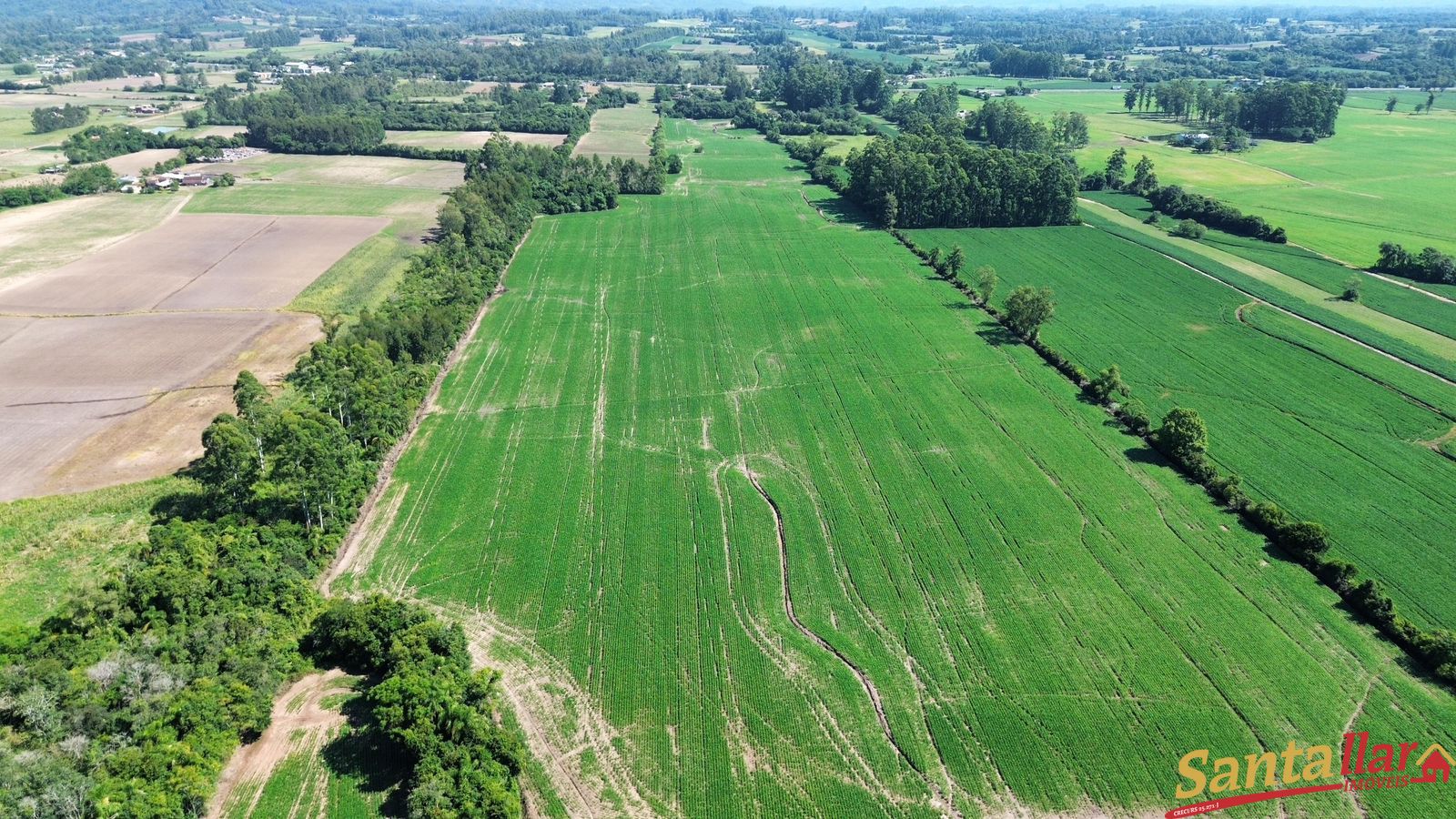 Sítio, 3 quartos, 22 hectares - Foto 17