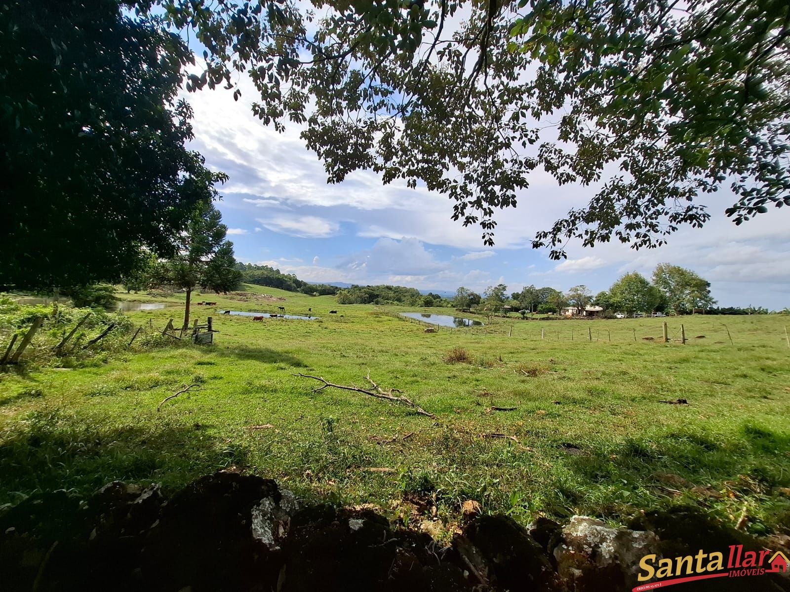Chácara, 10000 m² - Foto 3