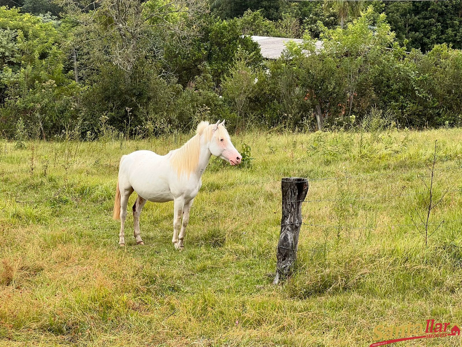 Chácara, 4 quartos, 2720 m² - Foto 12