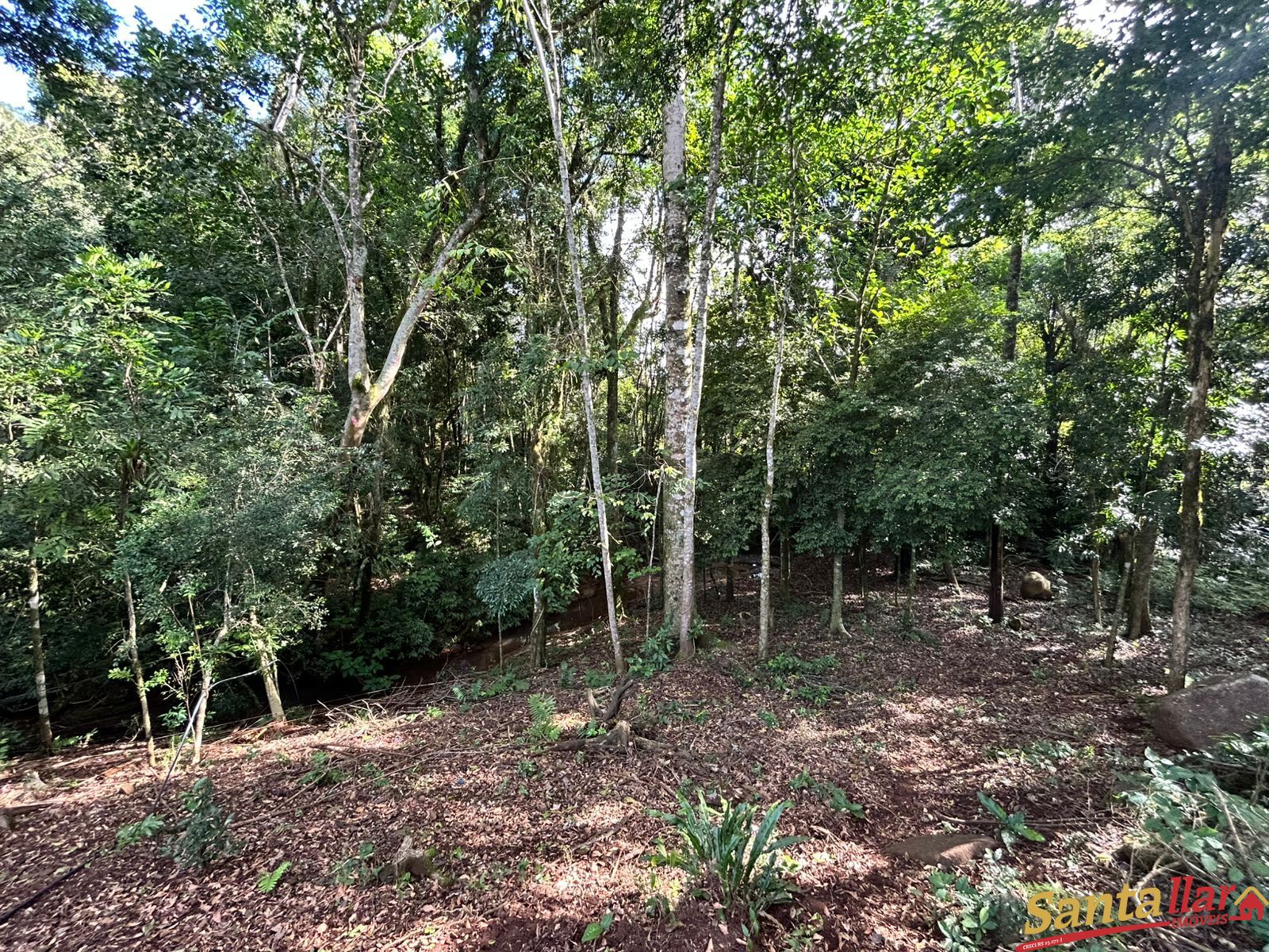 Chácara, 1 quarto, 6000 m² - Foto 22