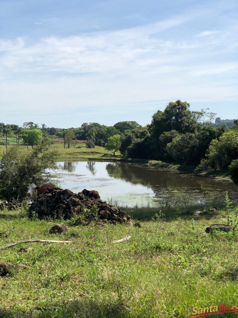 Fazenda à venda com 4 quartos, 120m² - Foto 11