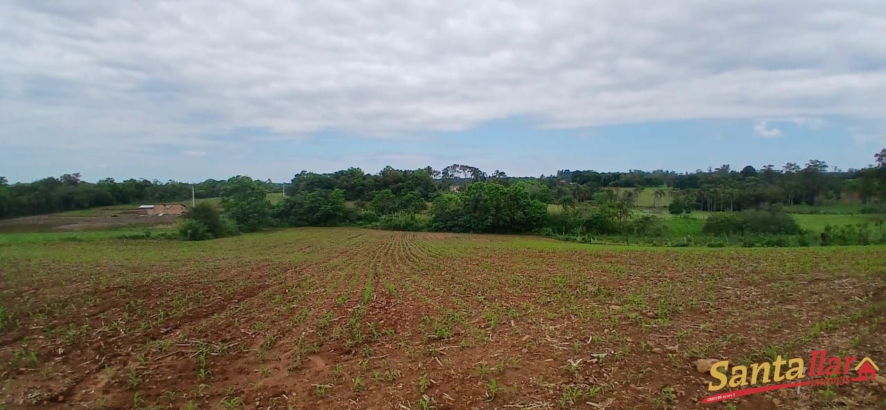 Sítio, 7 hectares - Foto 18