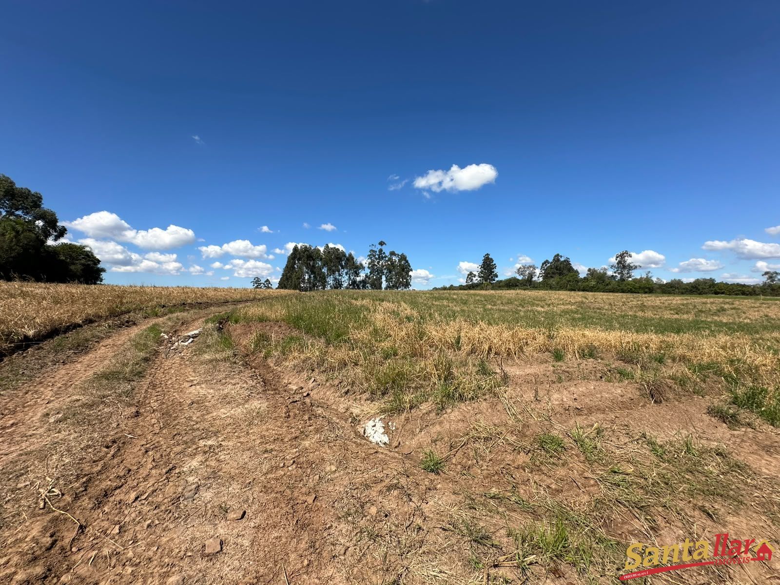 Chácara, 10 hectares - Foto 11