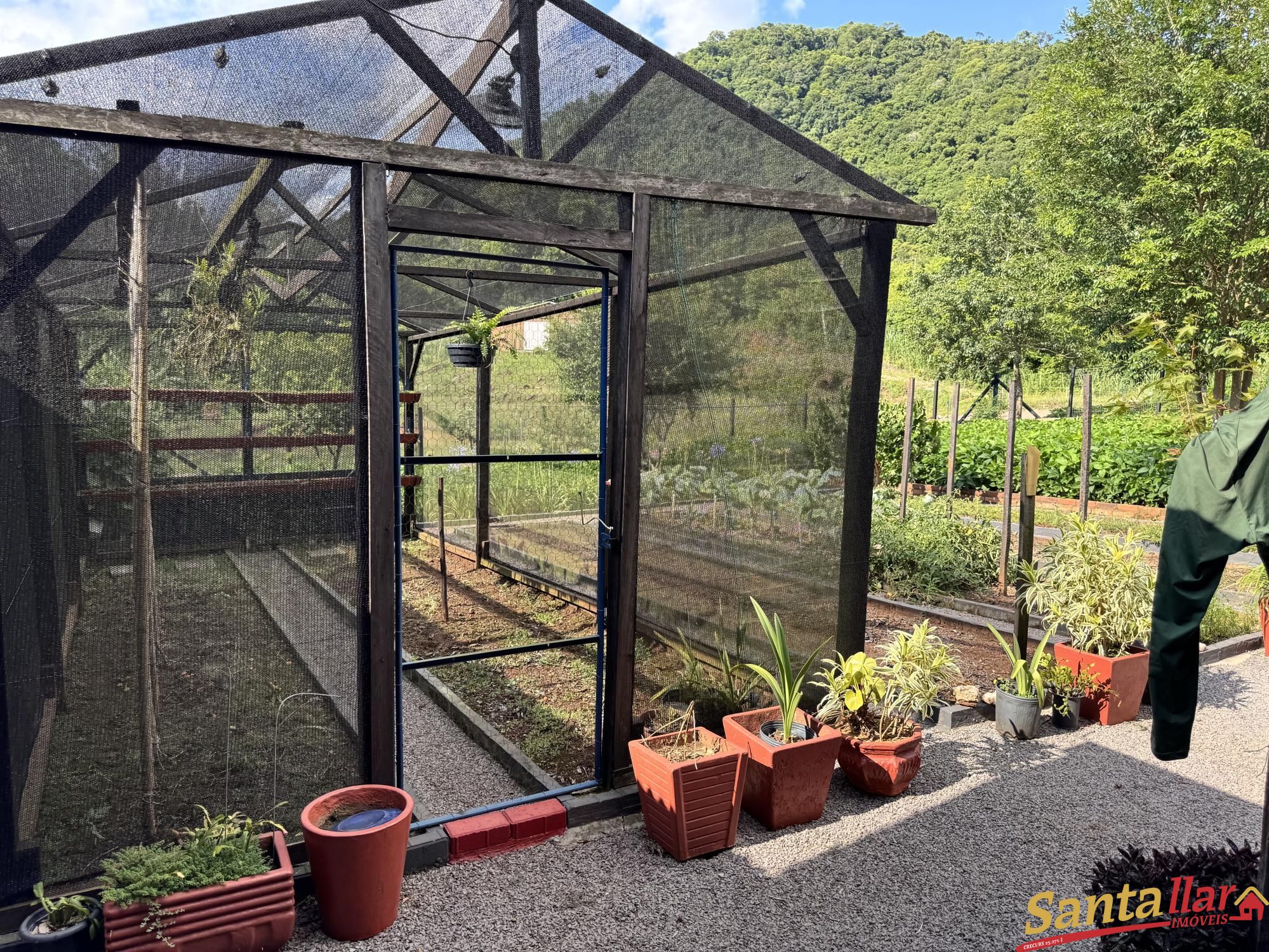 Sítio, 3 quartos, 4 hectares - Foto 21