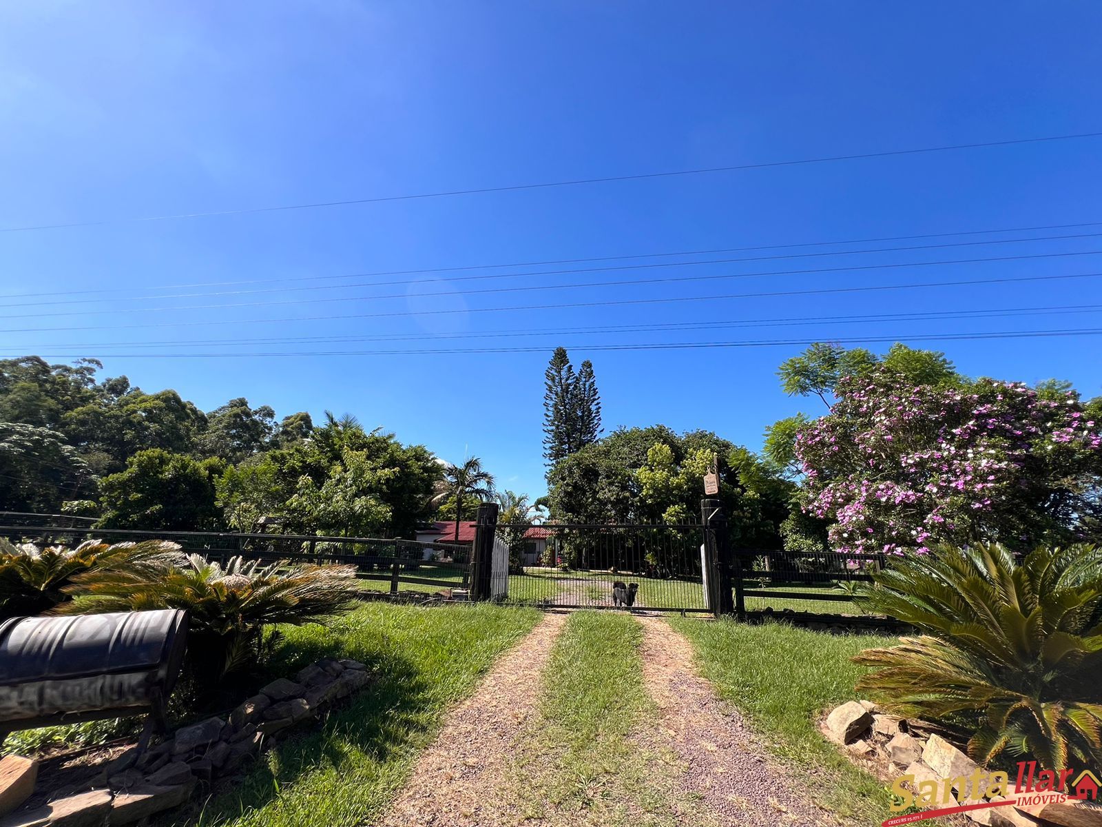 Fazenda à venda com 2 quartos, 180m² - Foto 11