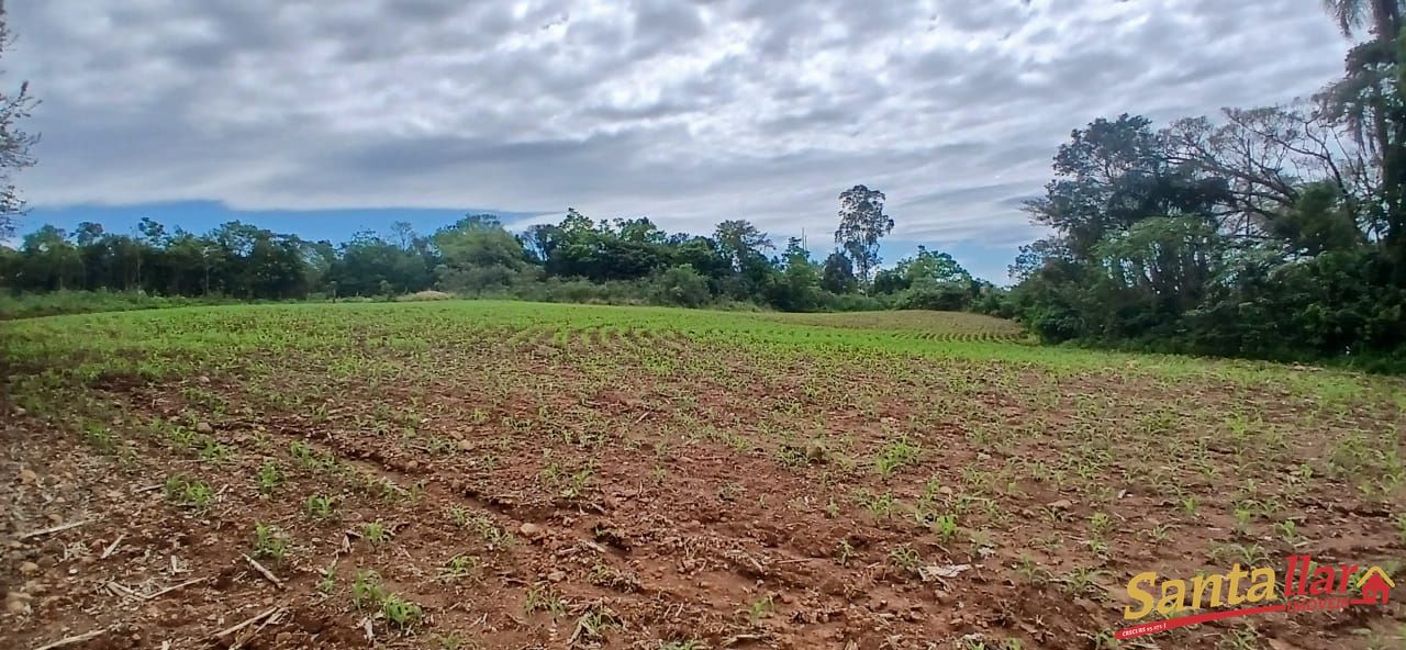 Sítio, 7 hectares - Foto 19