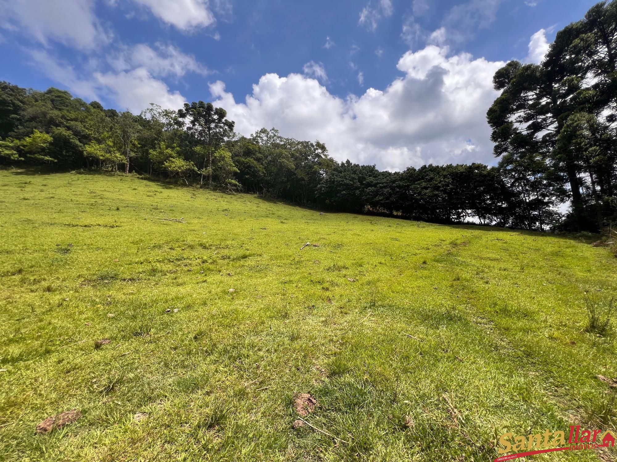 Fazenda à venda com 3 quartos, 130m² - Foto 11