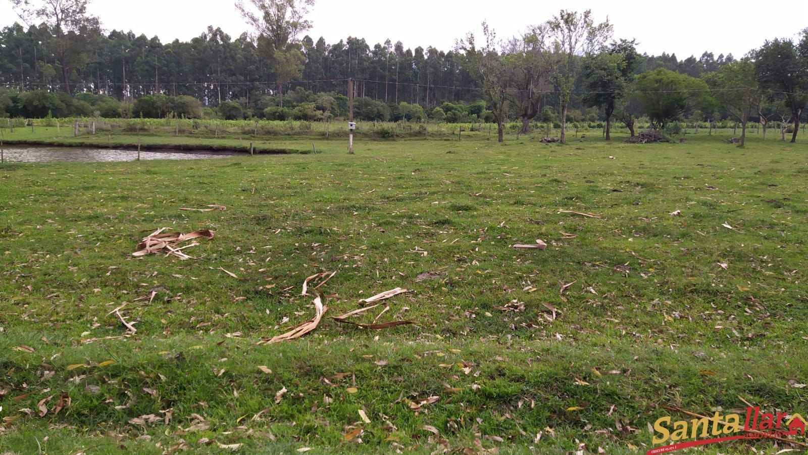 Fazenda à venda com 3 quartos, 200m² - Foto 35