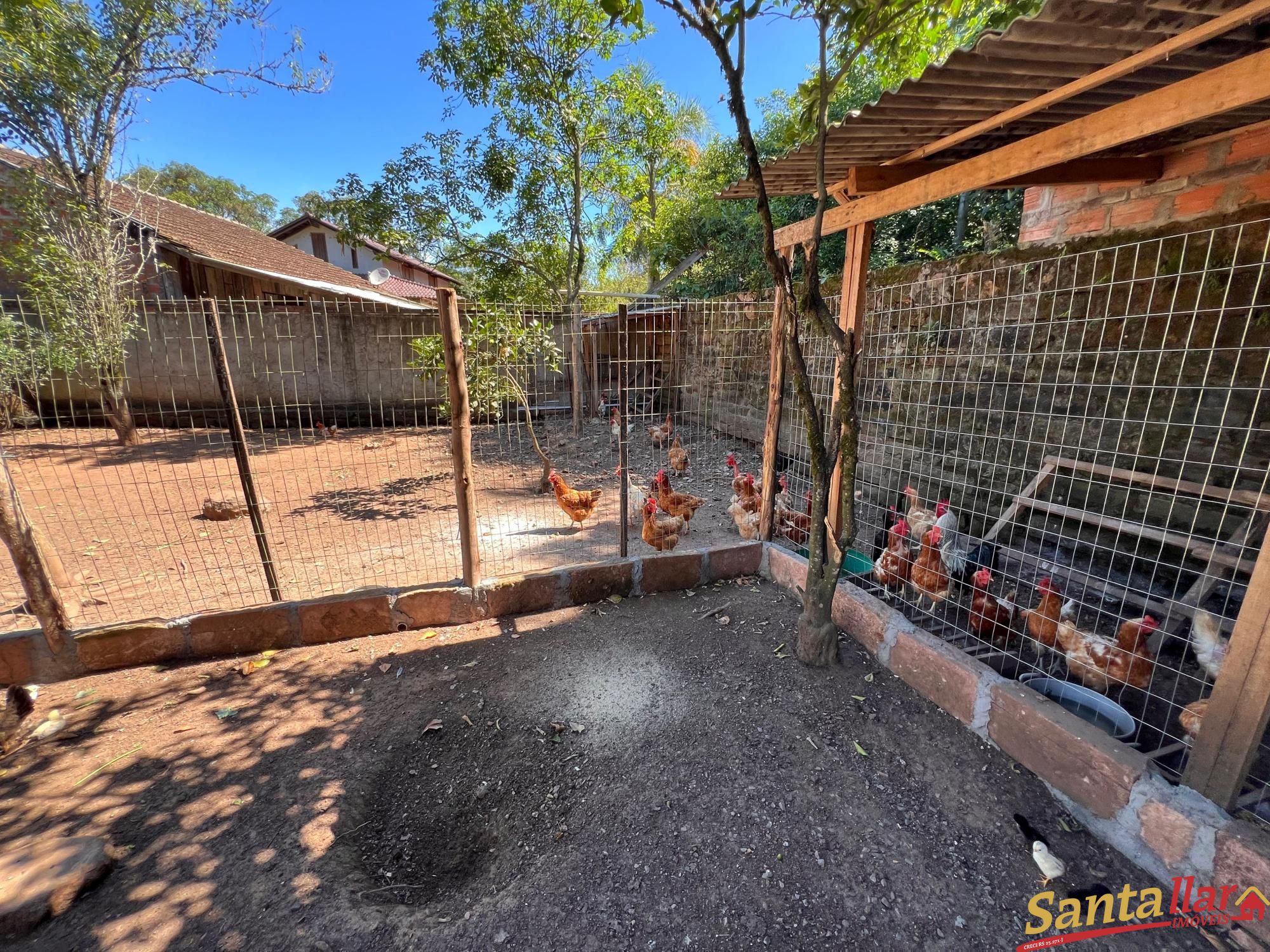 Fazenda à venda com 2 quartos, 60m² - Foto 9