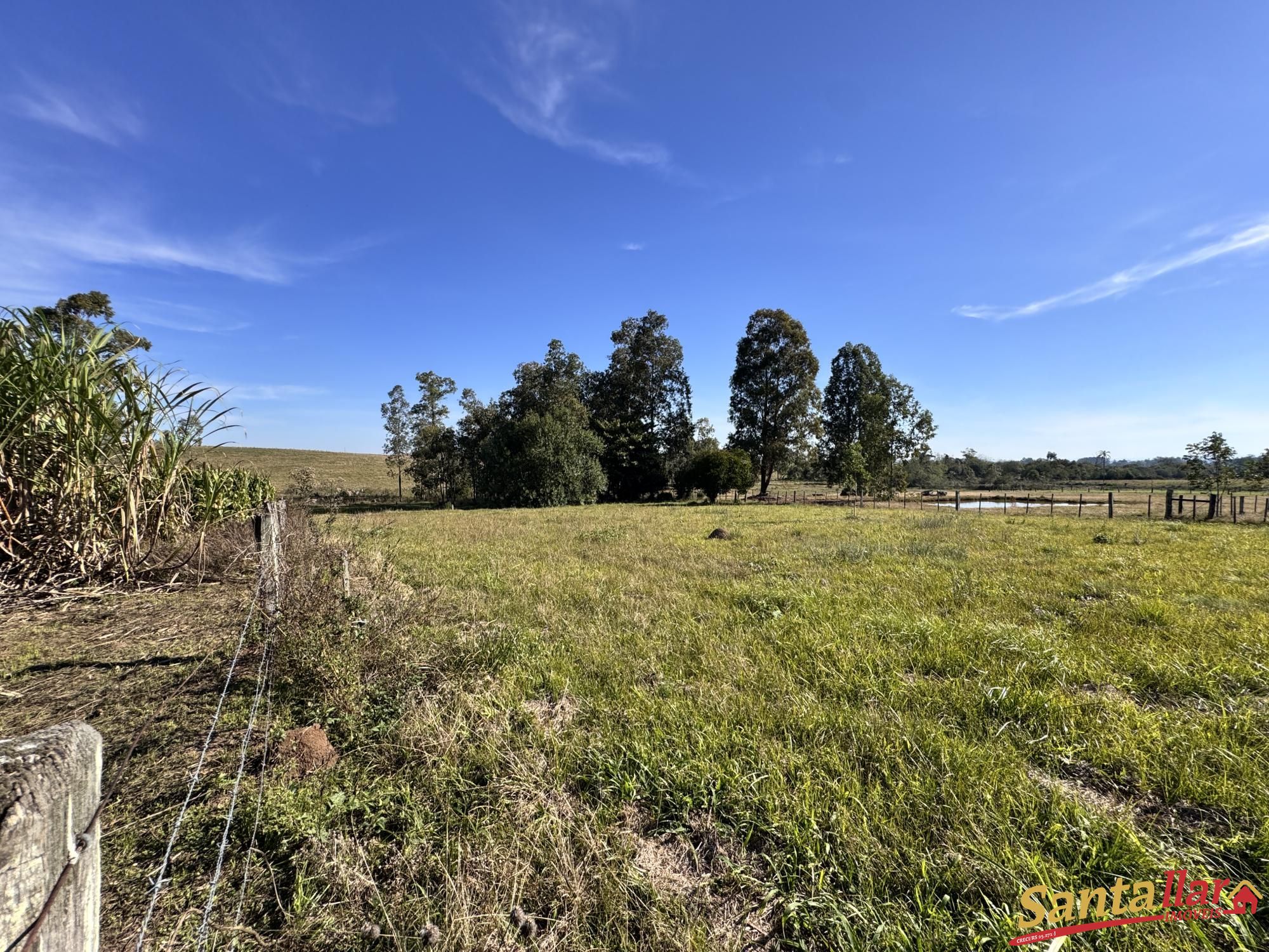 Sítio, 3 quartos, 2 hectares - Foto 20