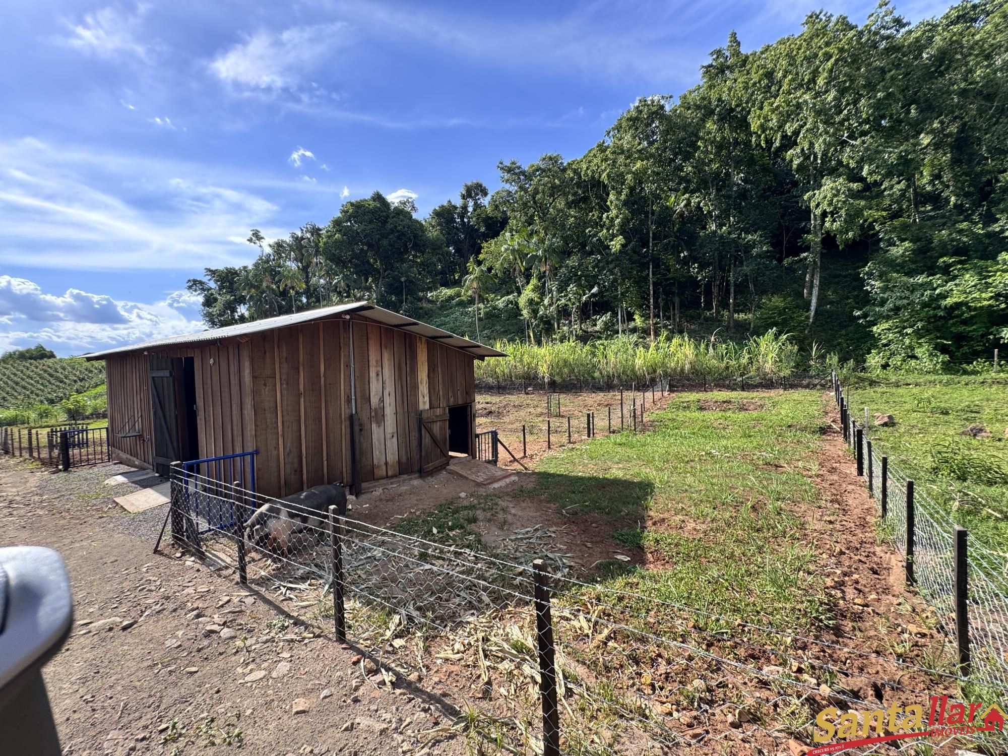 Sítio, 3 quartos, 4 hectares - Foto 24