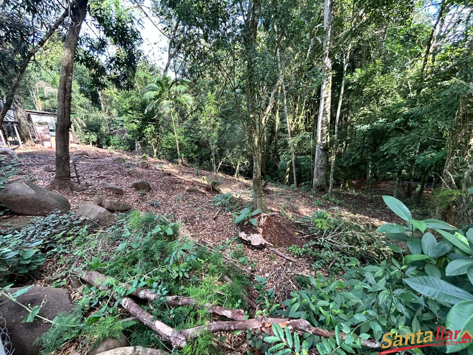 Chácara, 1 quarto, 6000 m² - Foto 35