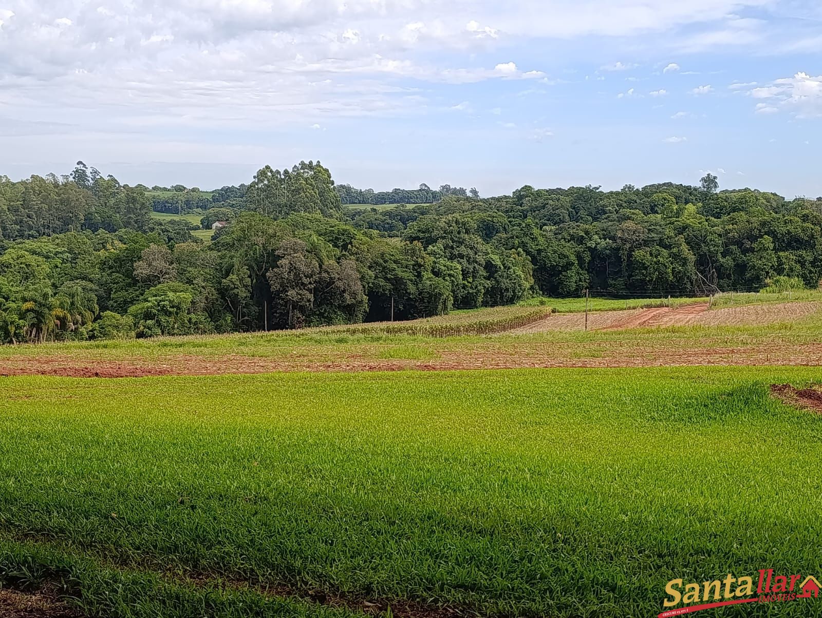 Chácara, 4 hectares - Foto 14