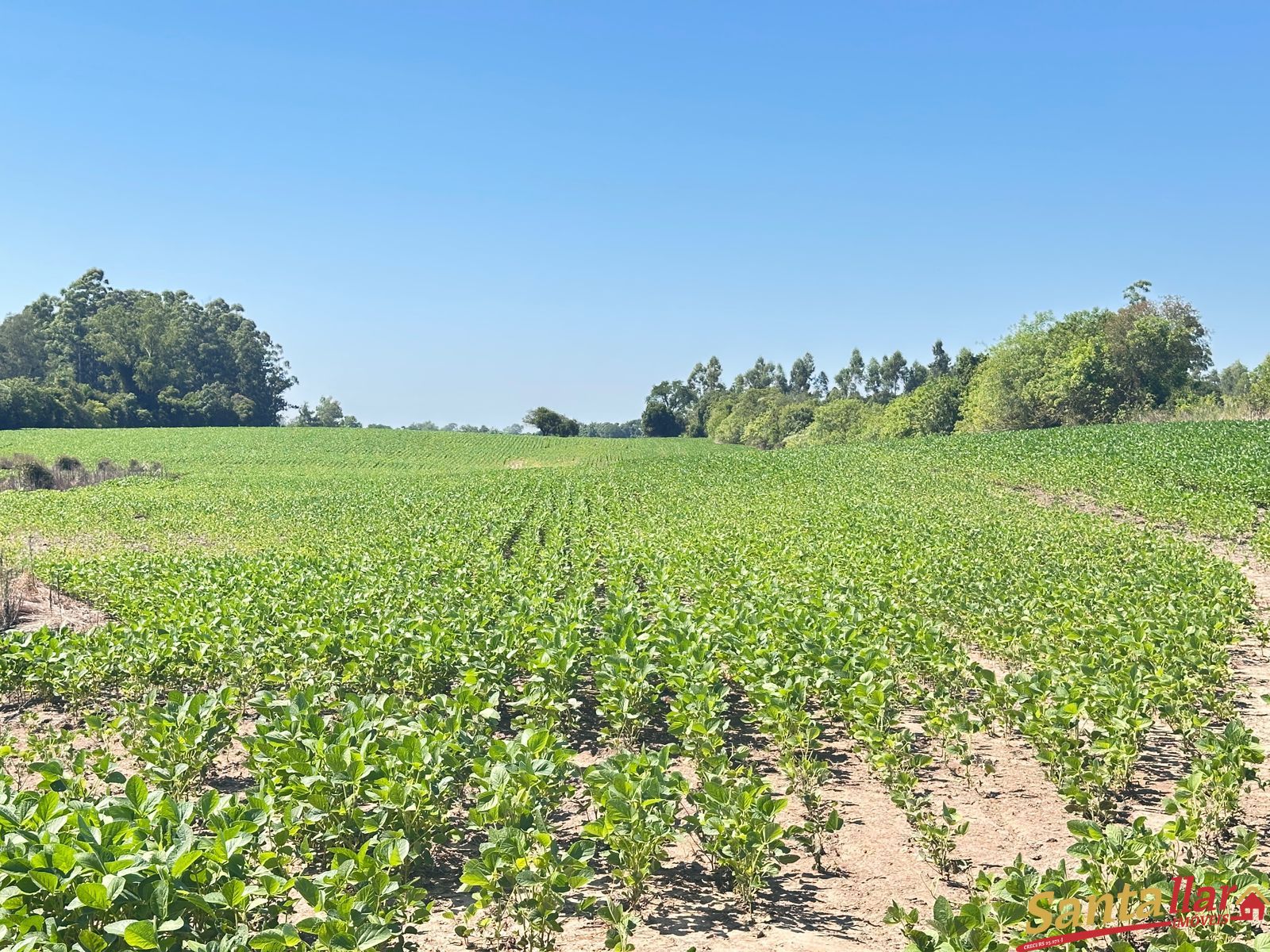 Sítio, 3 quartos, 22 hectares - Foto 11