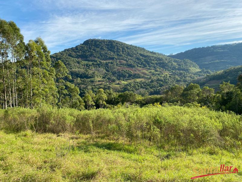 Chácara, 45 hectares - Foto 14