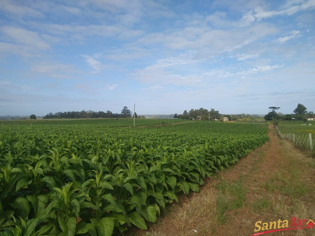 Fazenda à venda com 3 quartos, 833330000m² - Foto 16