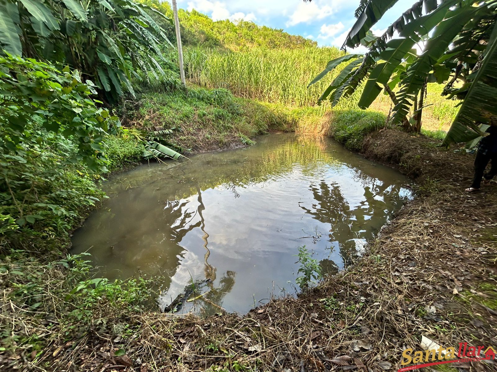 Chácara, 1 quarto, 6000 m² - Foto 26
