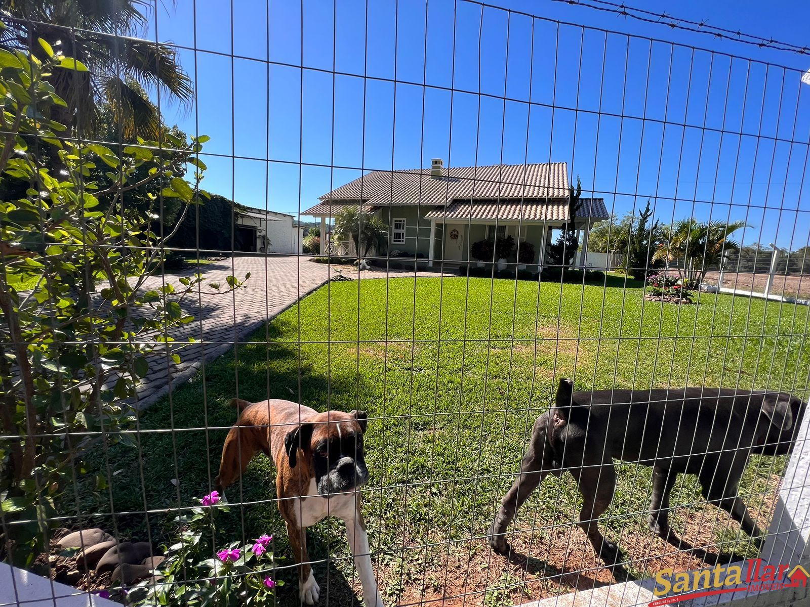 Fazenda à venda com 3 quartos, 188m² - Foto 17