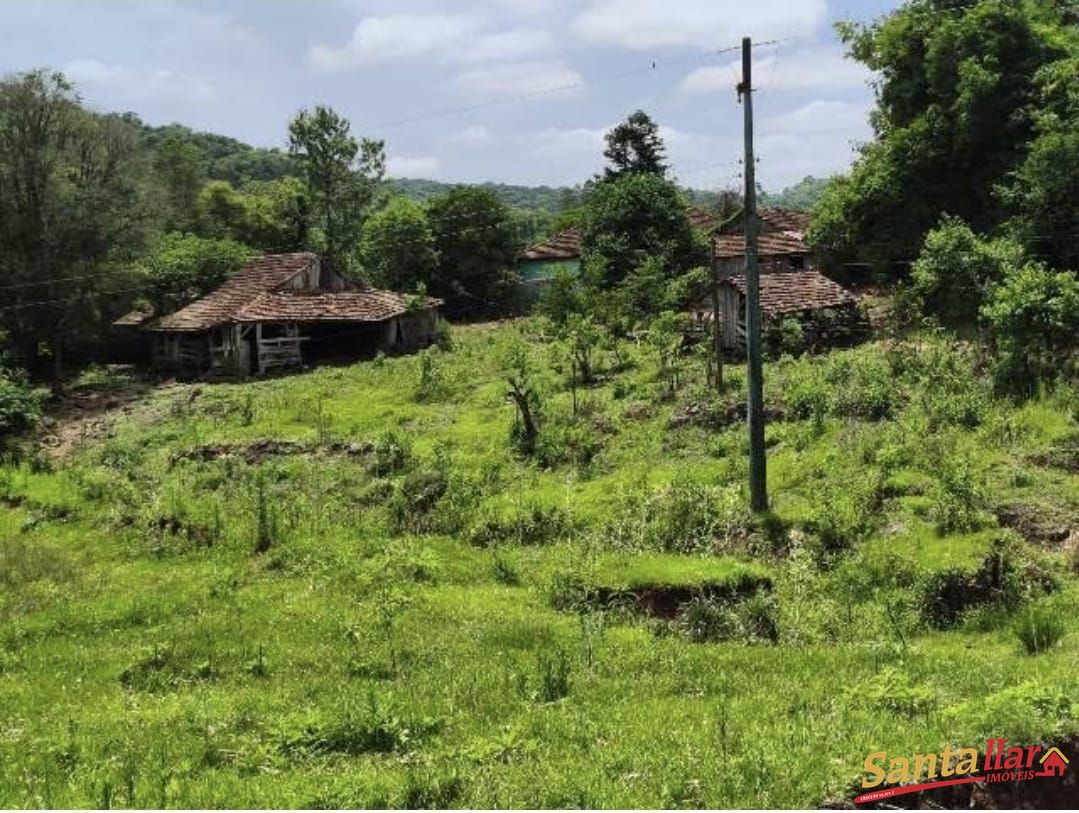 Sítio, 3 quartos, 6 hectares - Foto 1
