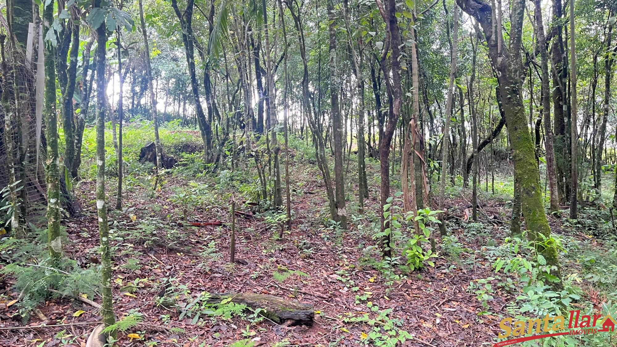 Chácara à venda com 2 quartos, 49m² - Foto 22
