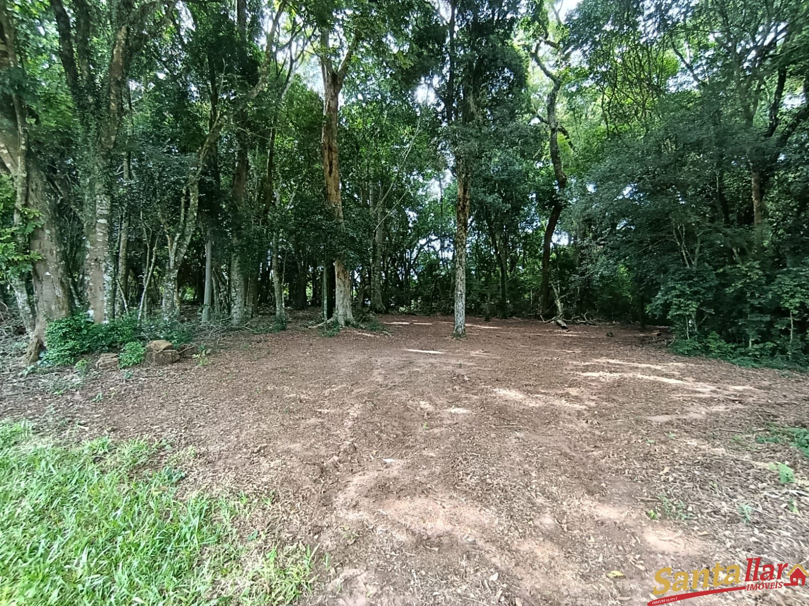 Chácara, 4 hectares - Foto 4