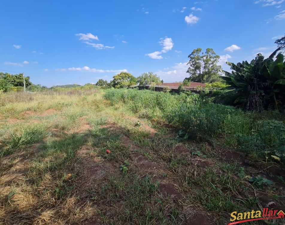 Fazenda à venda com 3 quartos, 10000m² - Foto 15