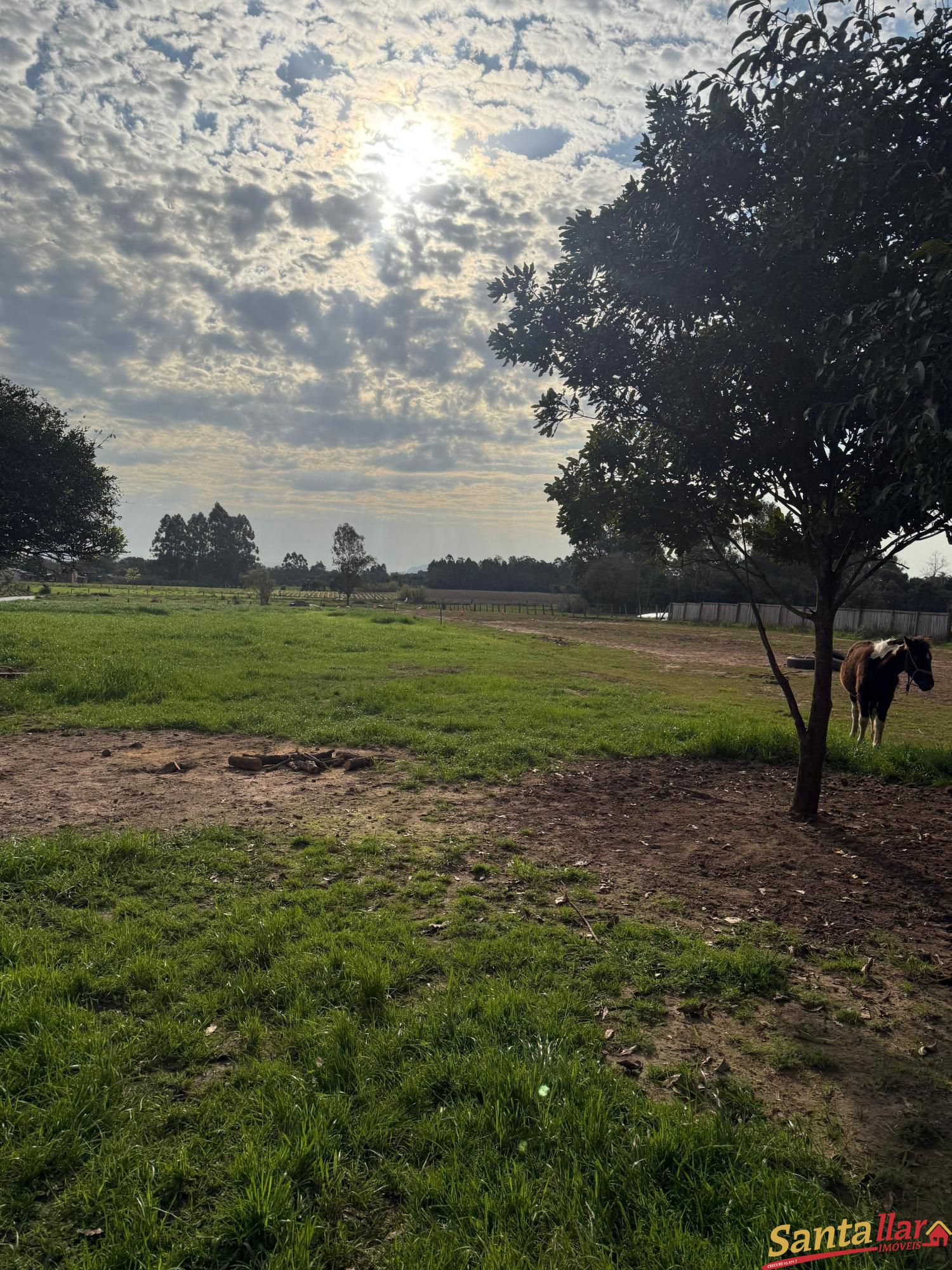 Sítio, 2 quartos, 3 hectares - Foto 11