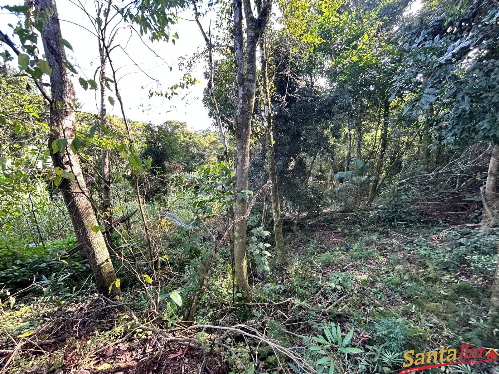 Chácara, 1 quarto, 6000 m² - Foto 27