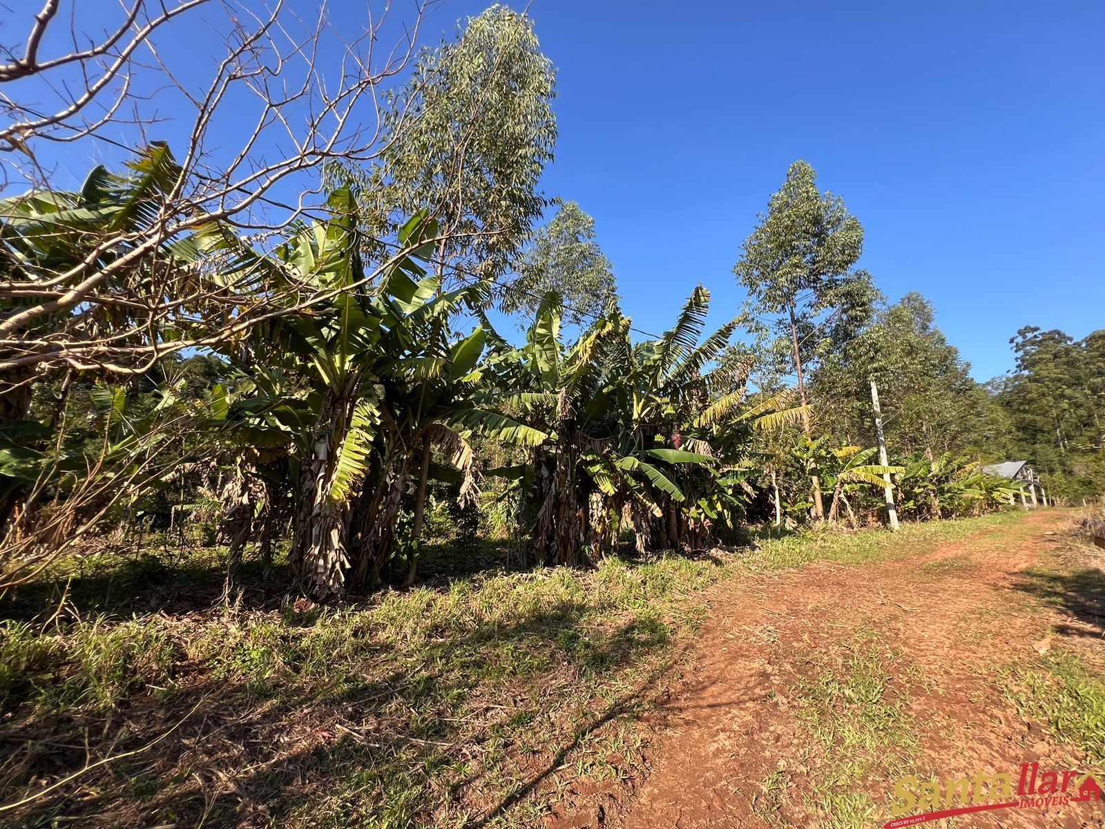 Fazenda à venda com 3 quartos, 200m² - Foto 15