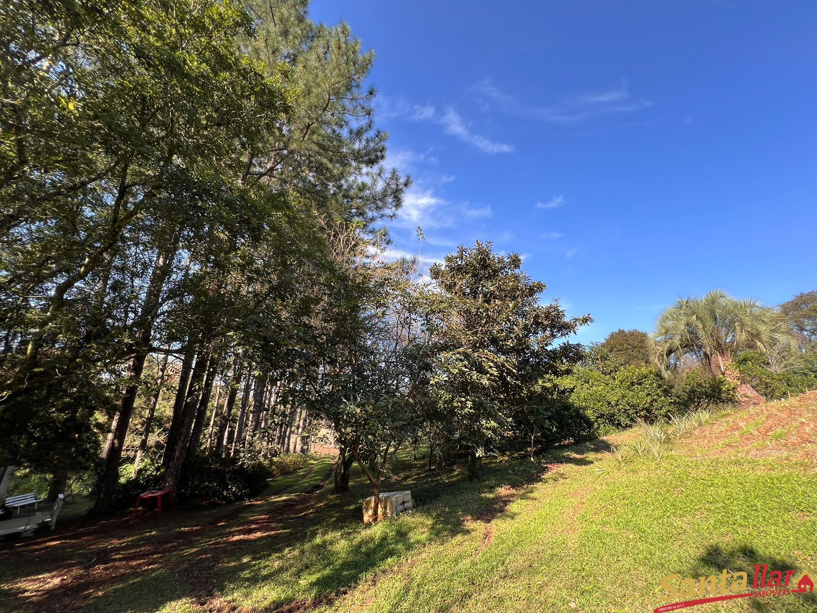 Fazenda à venda com 1 quarto, 10000m² - Foto 12