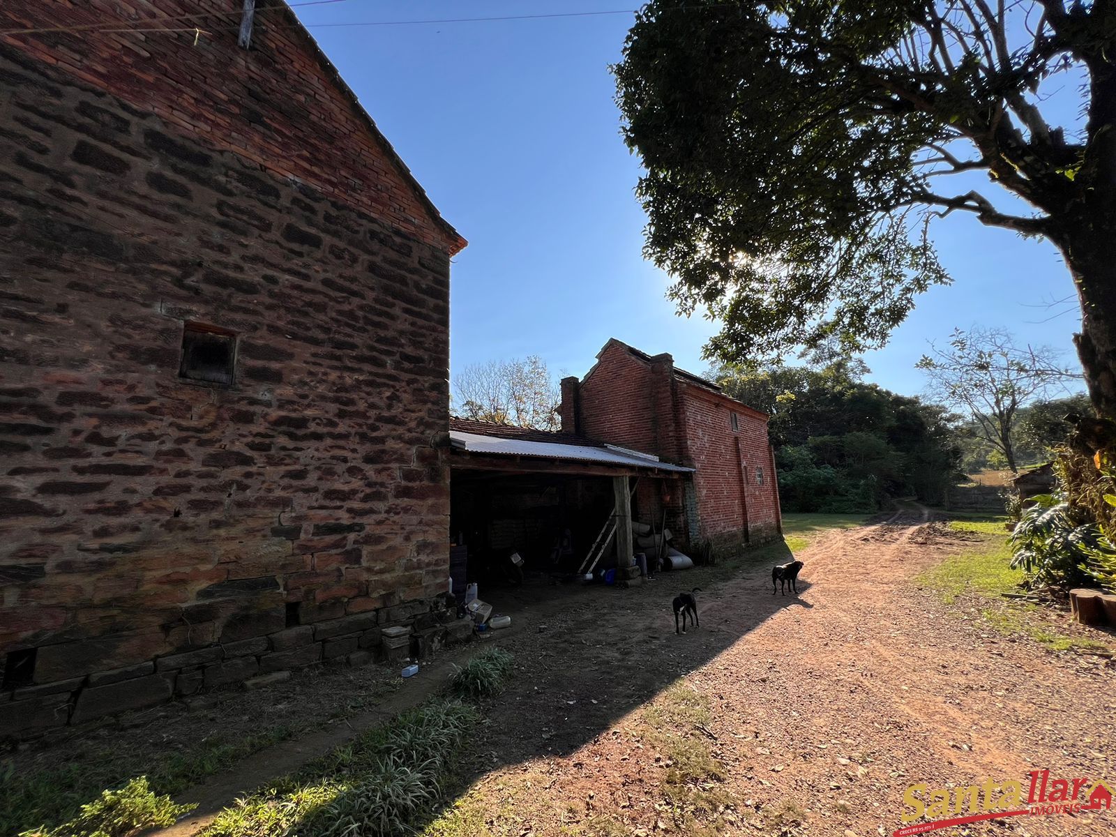 Fazenda à venda com 3 quartos, 200m² - Foto 11