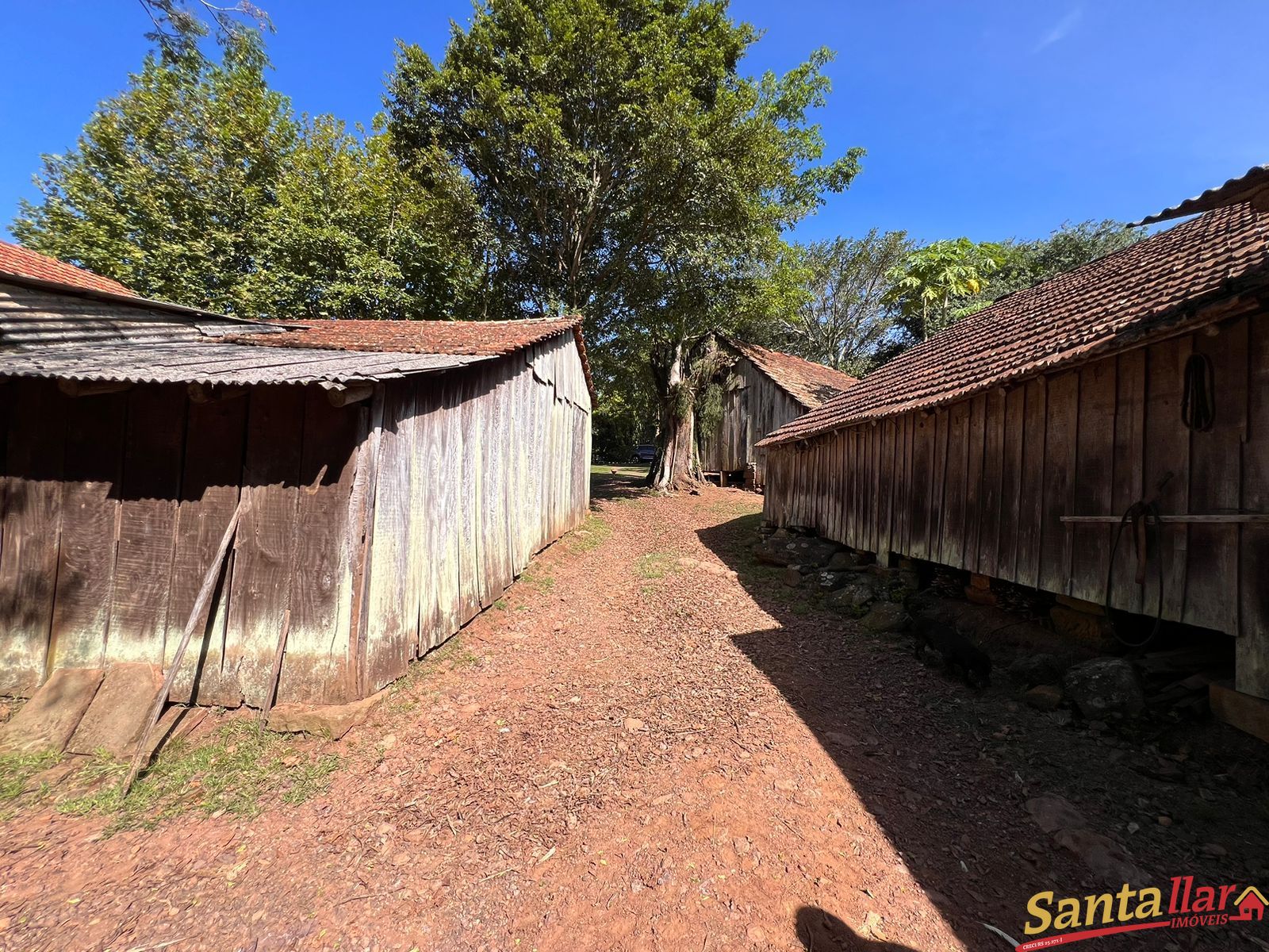 Fazenda à venda com 4 quartos, 120m² - Foto 24