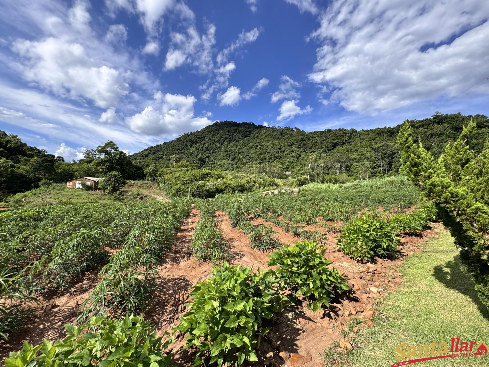 Sítio, 3 quartos, 4 hectares - Foto 12