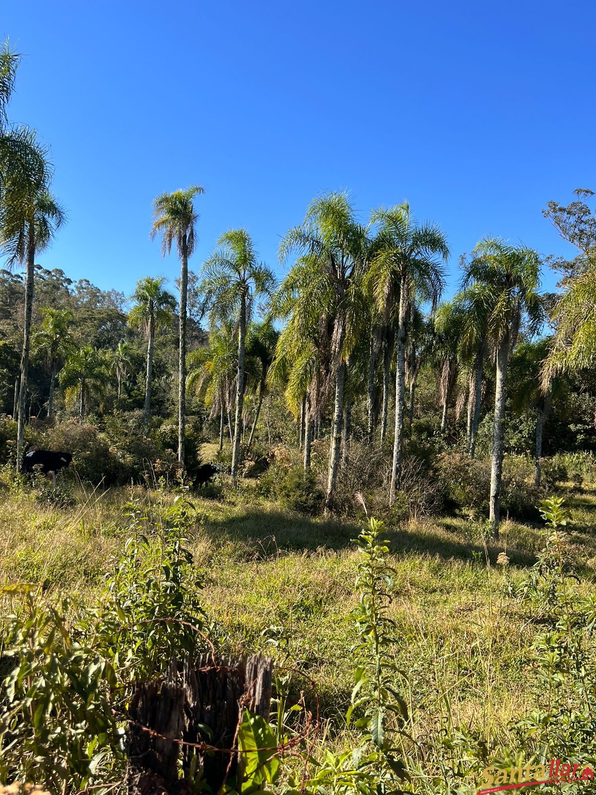 Loteamento e Condomínio à venda, 14800m² - Foto 7