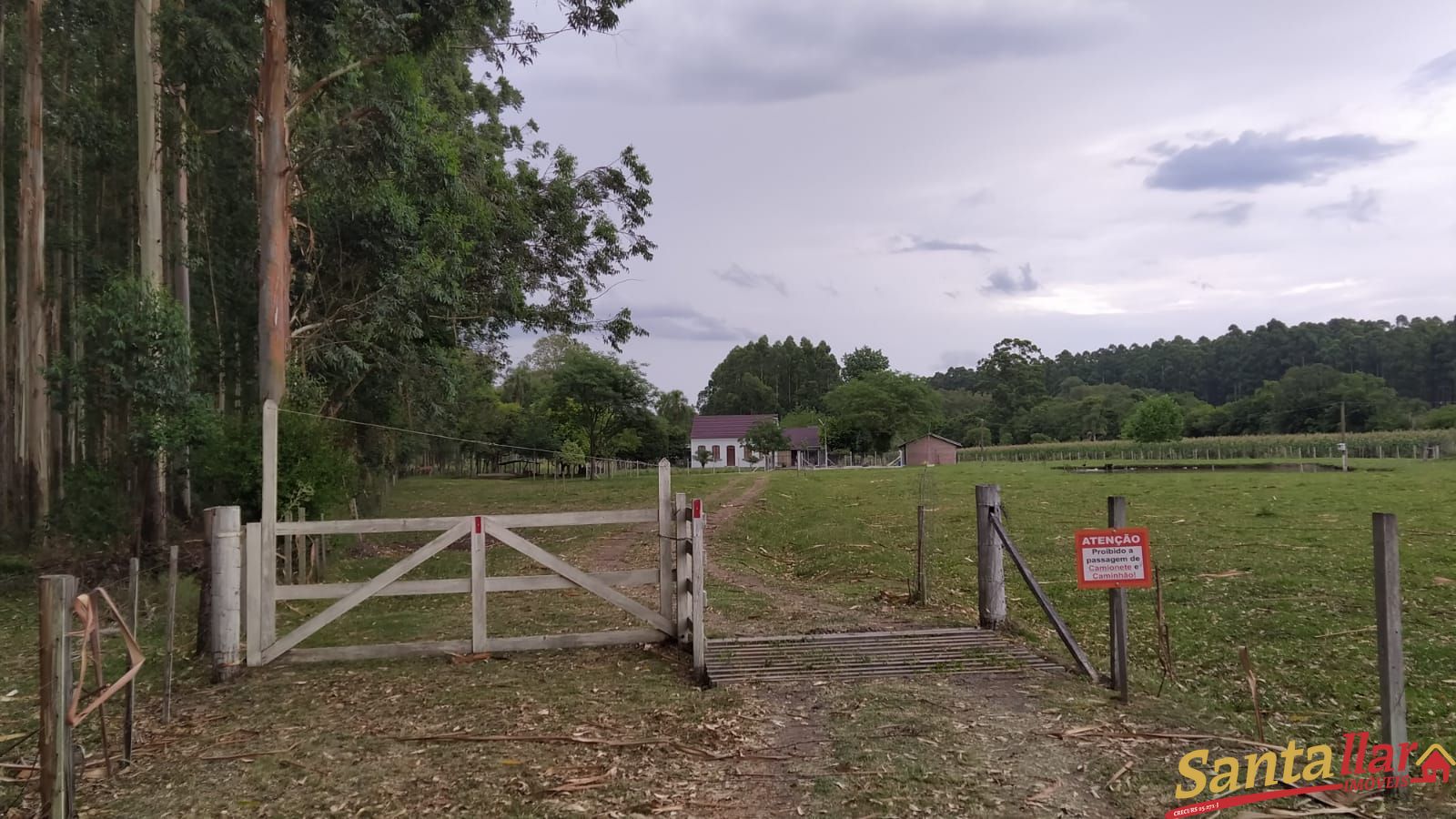 Fazenda à venda com 3 quartos, 200m² - Foto 30