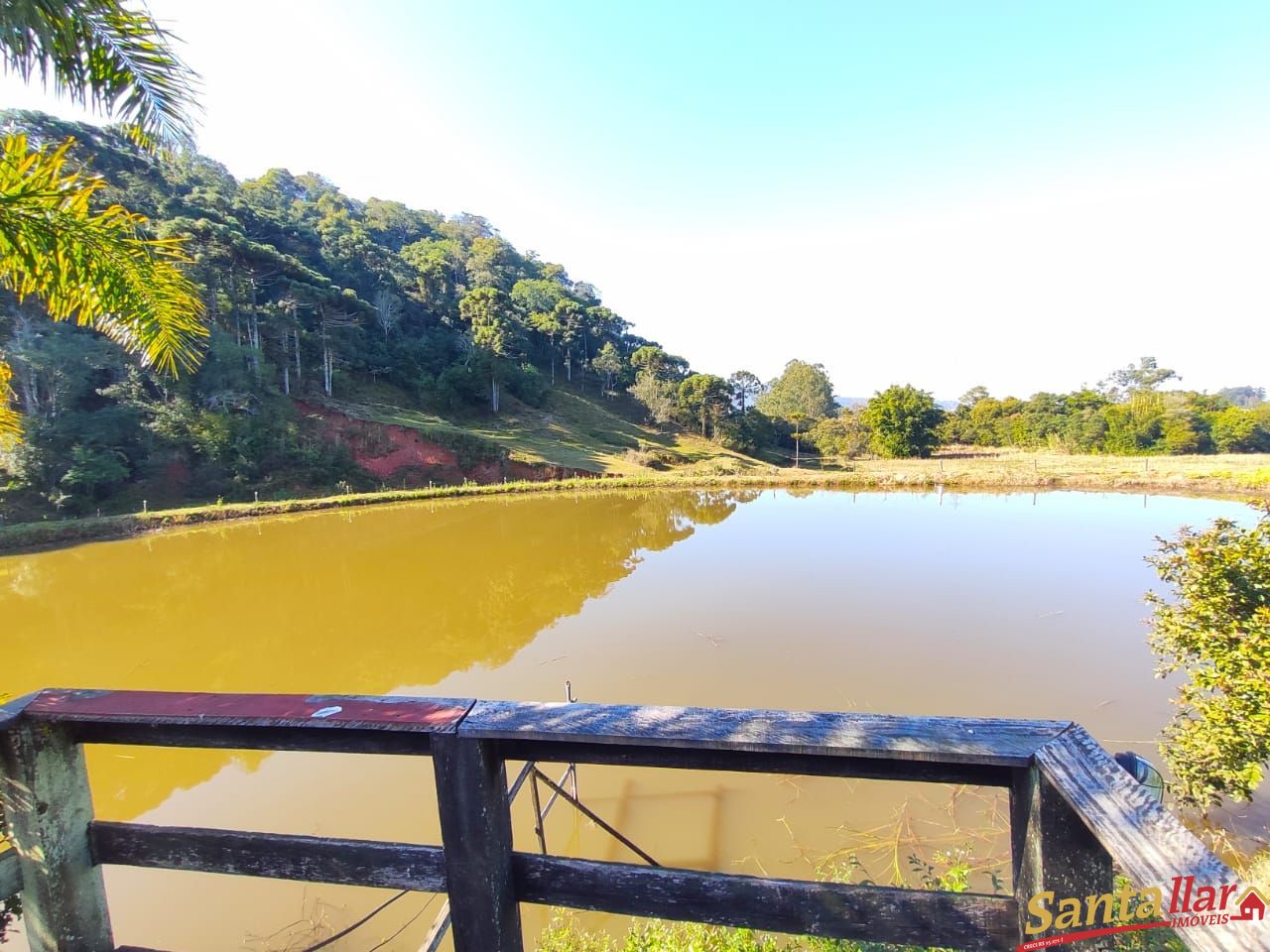 Fazenda à venda com 3 quartos, 29100m² - Foto 22