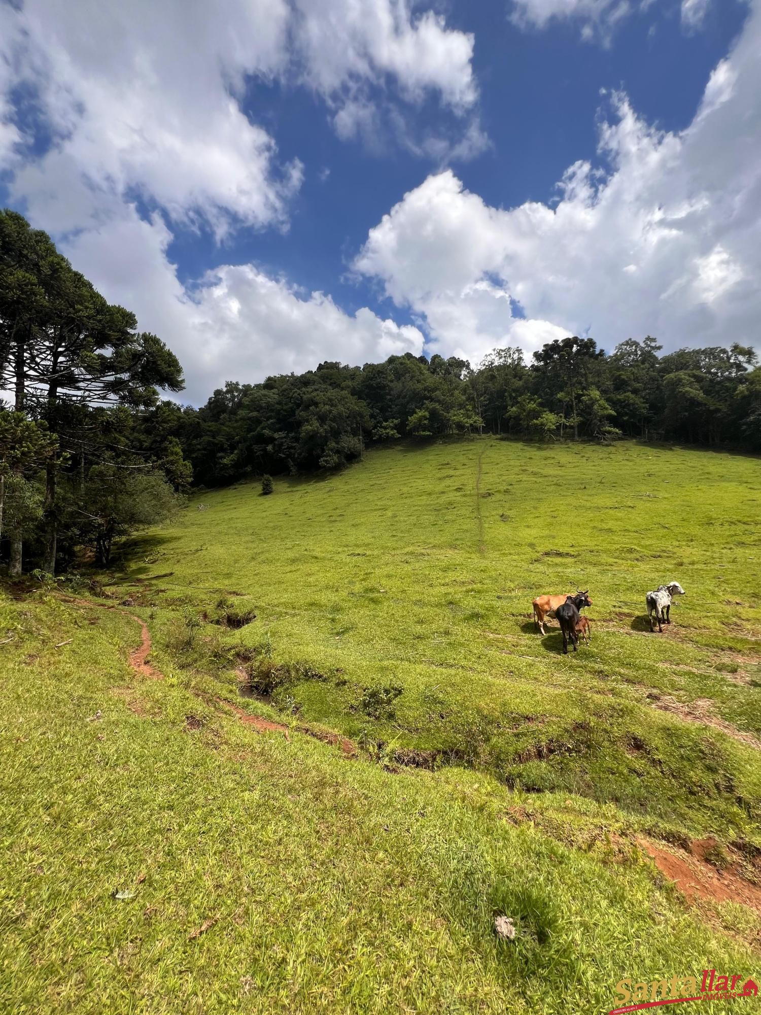 Fazenda à venda com 3 quartos, 130m² - Foto 10