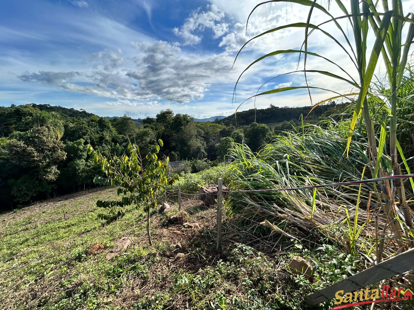 Chácara, 1 quarto, 6000 m² - Foto 31