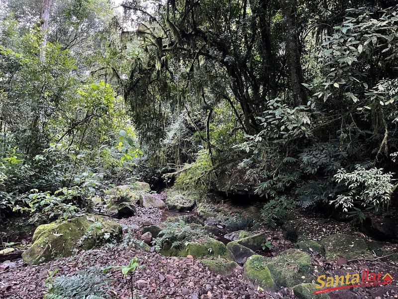 Chácara, 45 hectares - Foto 1