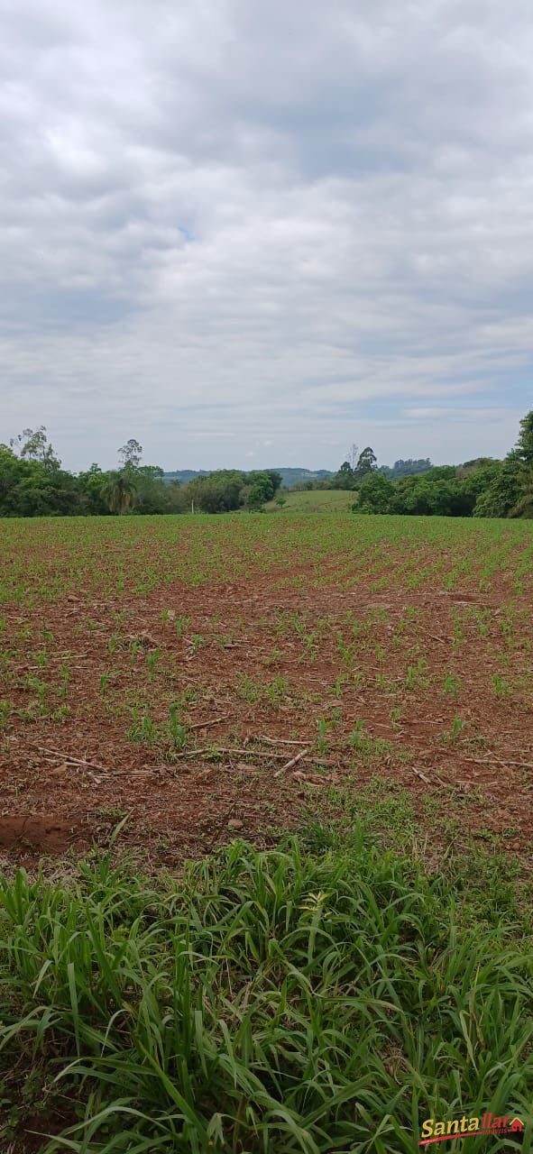 Sítio, 7 hectares - Foto 13