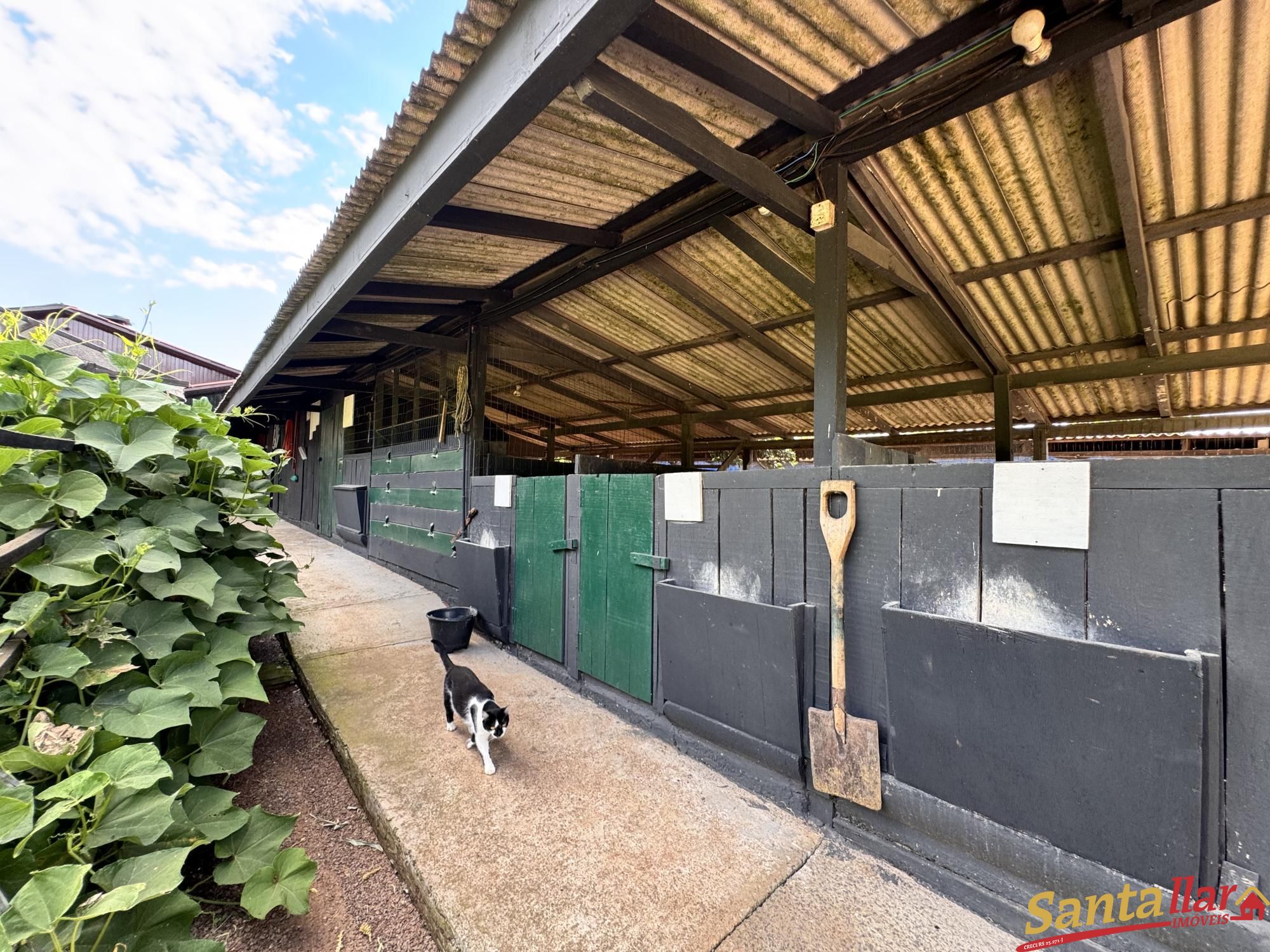 Sítio, 3 quartos, 4 hectares - Foto 22