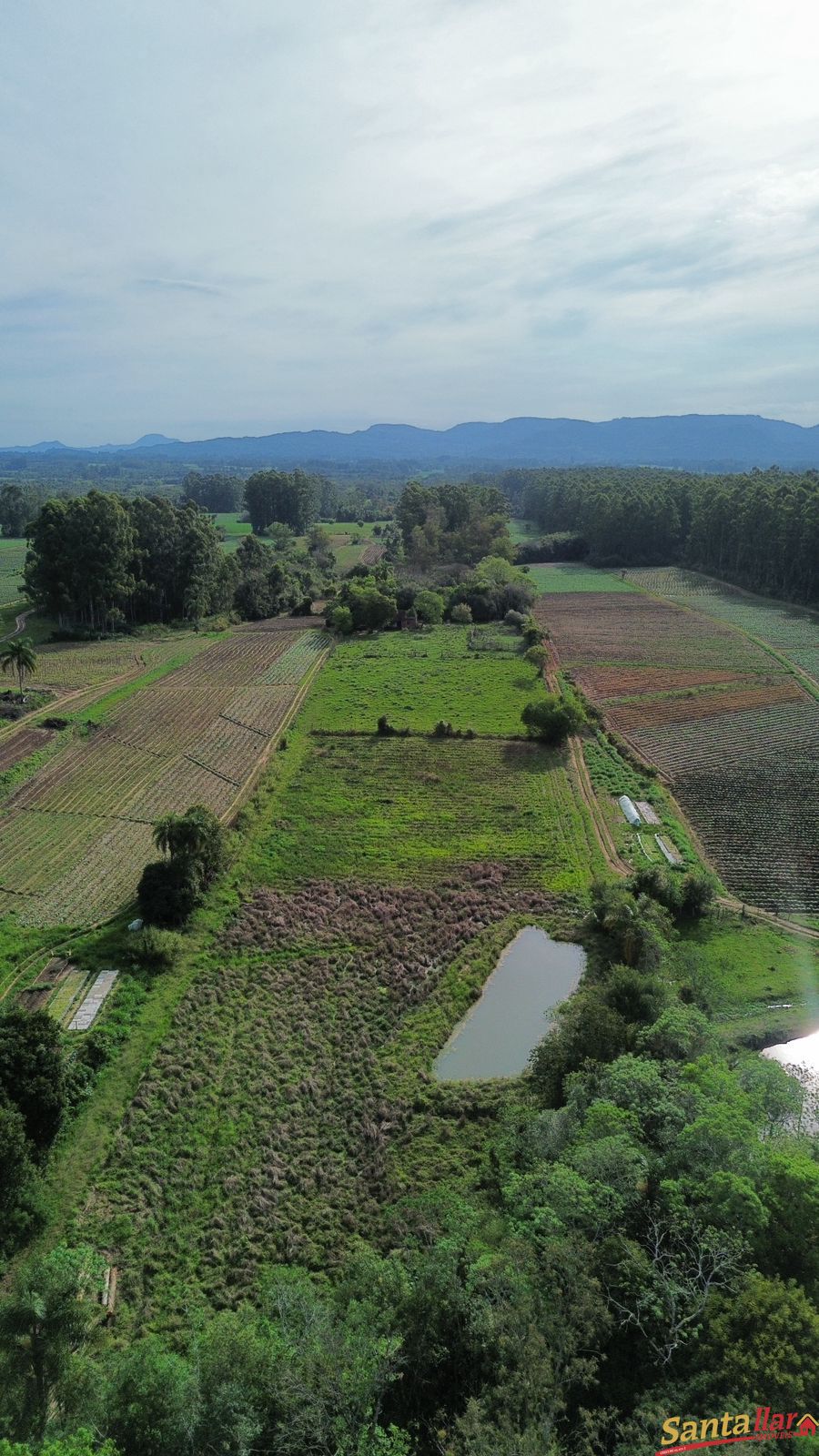 Chácara, 10 hectares - Foto 14