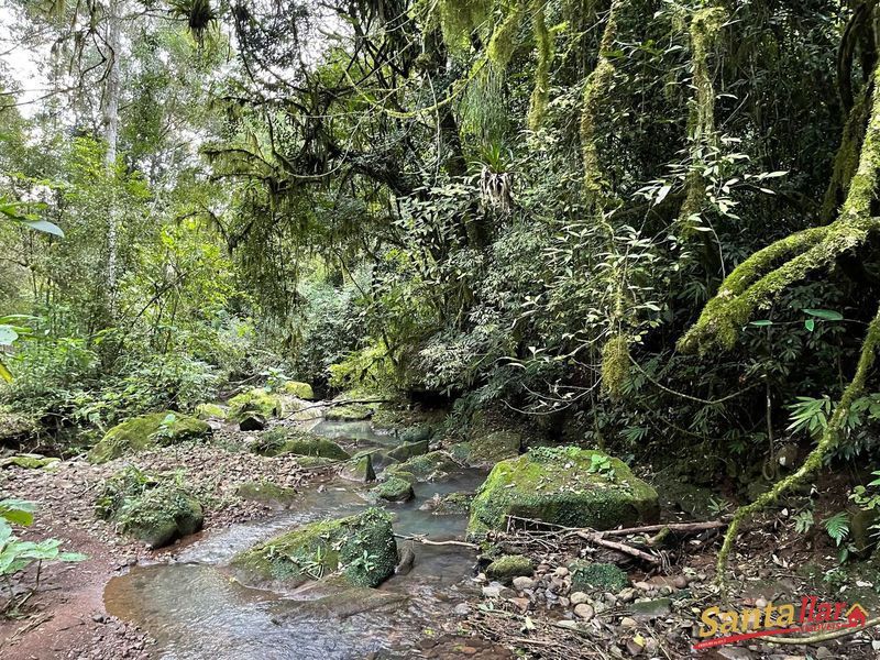 Chácara, 45 hectares - Foto 16