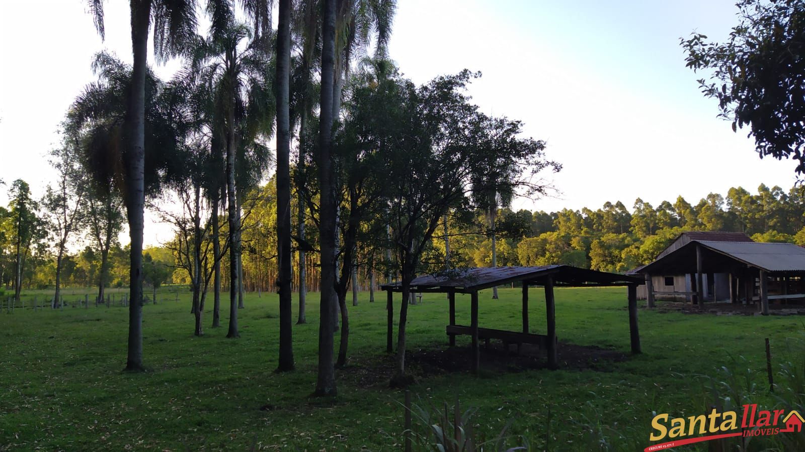 Fazenda à venda com 3 quartos, 200m² - Foto 33