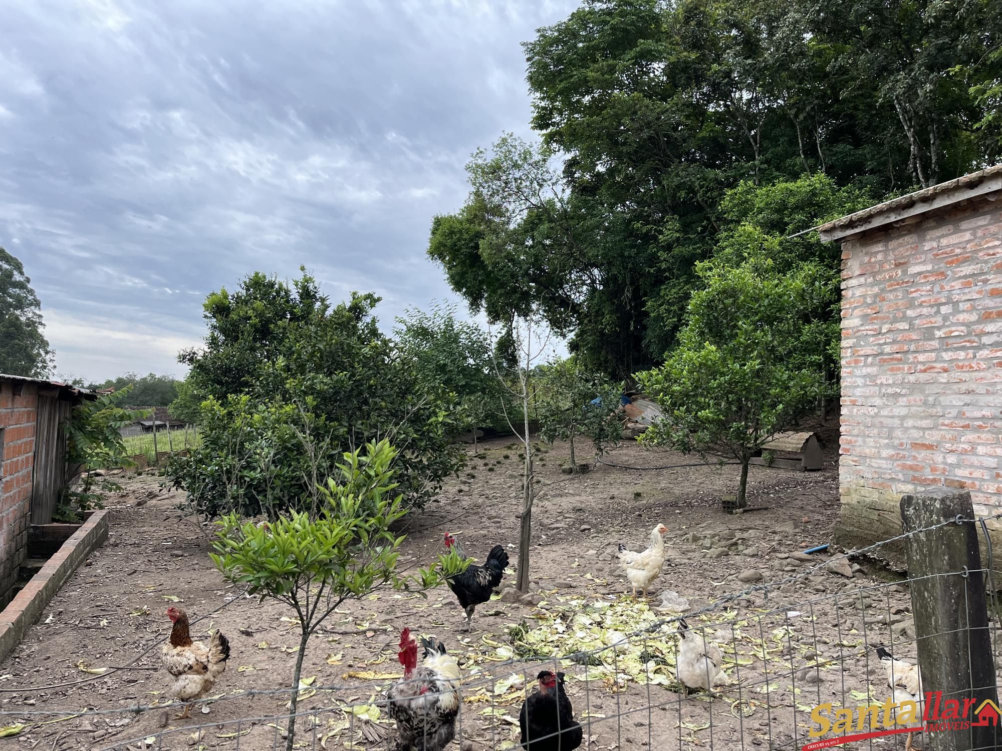 Fazenda à venda com 3 quartos, 130m² - Foto 13