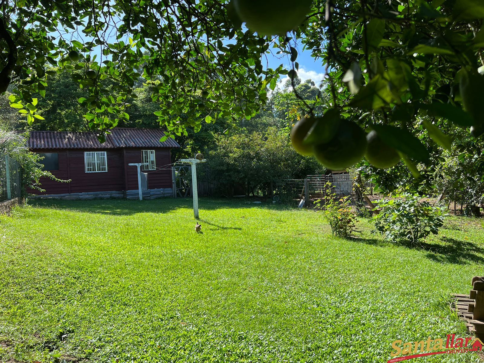 Fazenda à venda com 2 quartos, 180m² - Foto 12